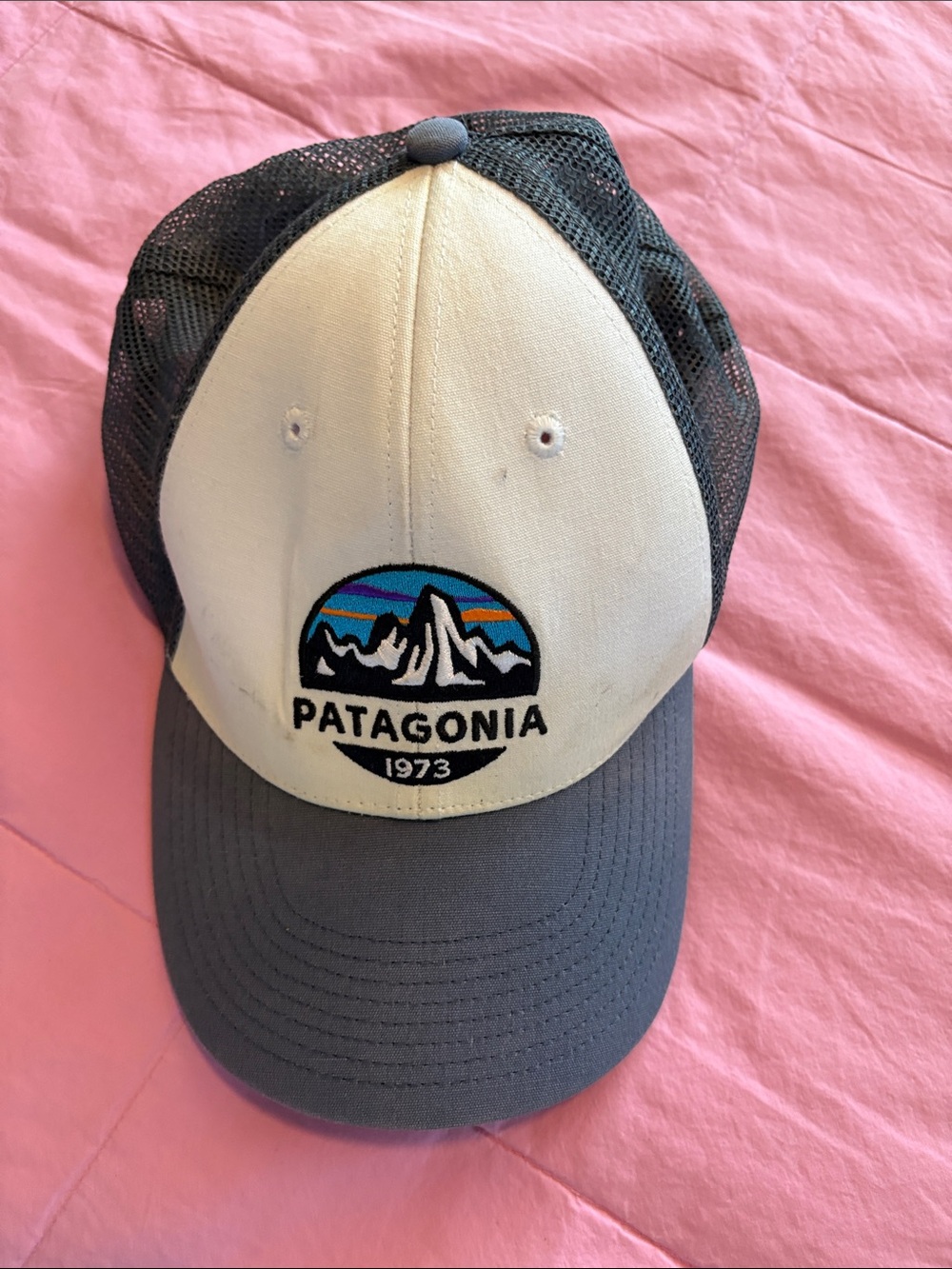 Patagonia hat SnapBack